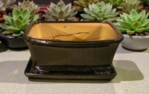 Vaso per bonsai - in, ceramica