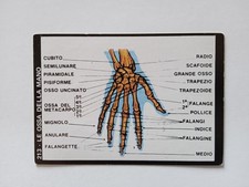 FIGURINA NATURA VIVA EDIZIONI