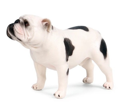Bulldog cane animale