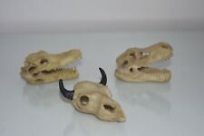 Terrario Dettagliato Mini Teschi 3 Diverse Disegni Misura Approx 7 X 5 X 3 CM 2