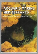 Acquario marino mediterraneo - acquario,