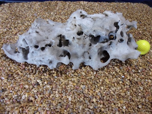 Texas holey rock - 10#, texas/tn
