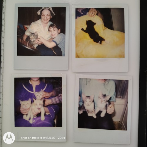Polaroid foto istantanea - ,