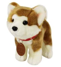 Carino peluche Akita Inu cane