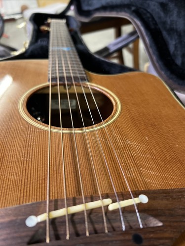 Takamine santa esf 10c - takamine, cool