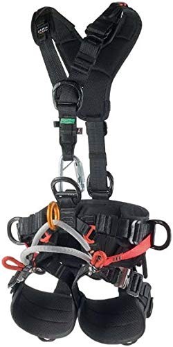 Accesso albero campeggio - albero,