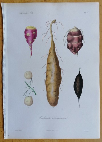 Dupuis stampa originale