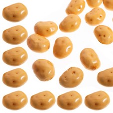  20 Pcs Esposizione Della