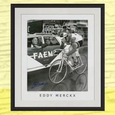 Stampa firmata eddy merckx - stampa,