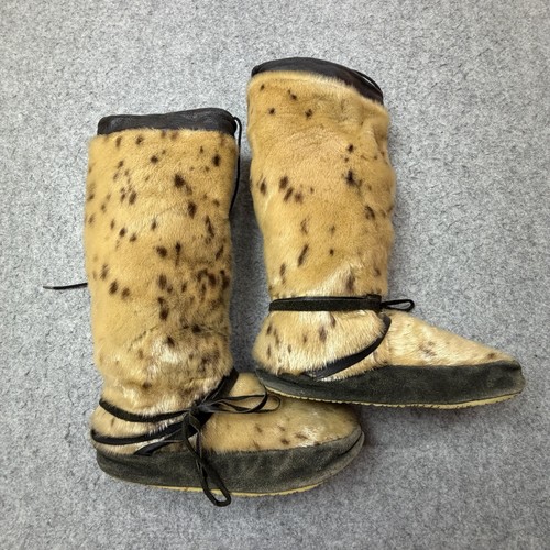 Pelliccia foca maculata - di,