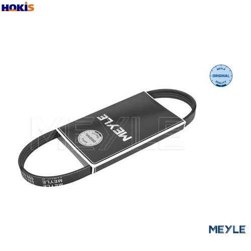 Cinghia vibrante 050 004 - 050, 0665