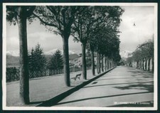 Cuneo città Giardini Foto FG