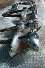 Vecchie teste di toro in