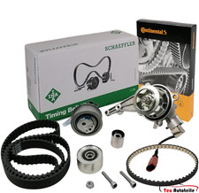 Kit Cinghia Distribuzione INA