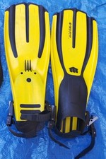 PINNE con cinghiolo MARES