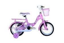 CITY BIKE COPPI TAYLOR 12 1V