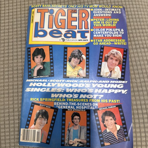 Tiger beat star - tiger,