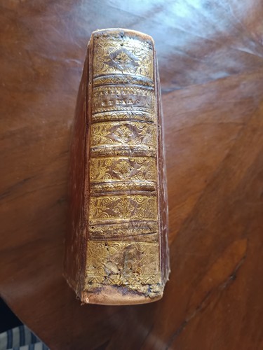 Petrarca commento del