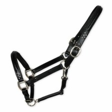 TOSONI Capezza cavezza cavallo imbottita brillantini COB cuoio NERA