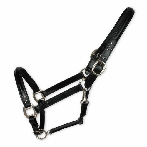 Tosoni capezza cavezza cavallo - capezza,