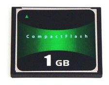 Scheda di memoria 1 GB CF Card