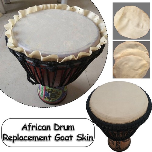 Djembe batteria ricambio - , testa