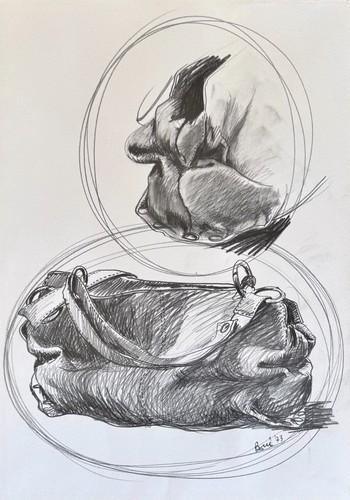 Angelo boni 49x35 disegno - 49x35,