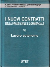 I nuovi contratti nella prassi civile e commerciale. Lavoro autonomo (Vol. 6)
