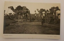 coloniali trasporto materiali