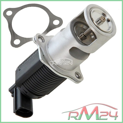 Valvola egr guarnizion - 1x,