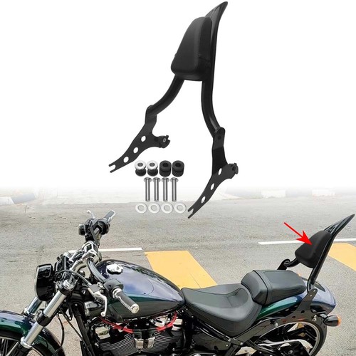 Schienale sissy bar - schienale, passeggero