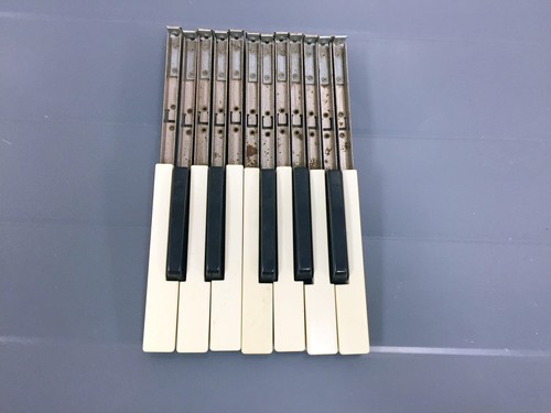 Hammond organo chiavi ottava - hammond,
