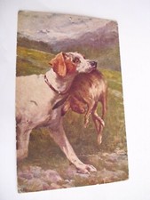 Caccia - cane -  lepre - non