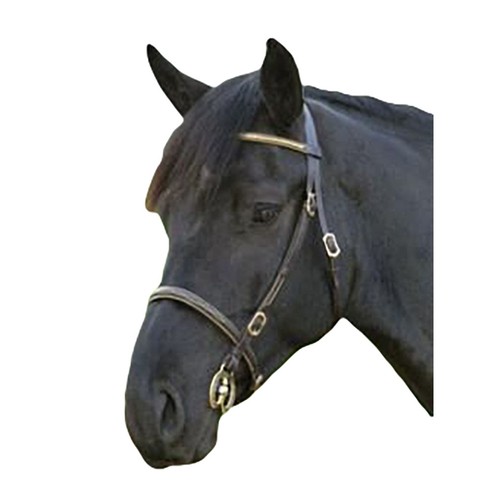 Blenheimclincher pelle briglia - pelle,