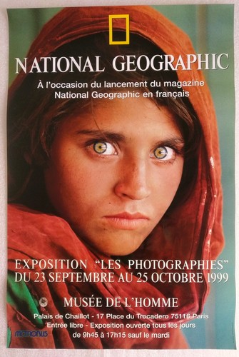 Steve curry affiche - mc,