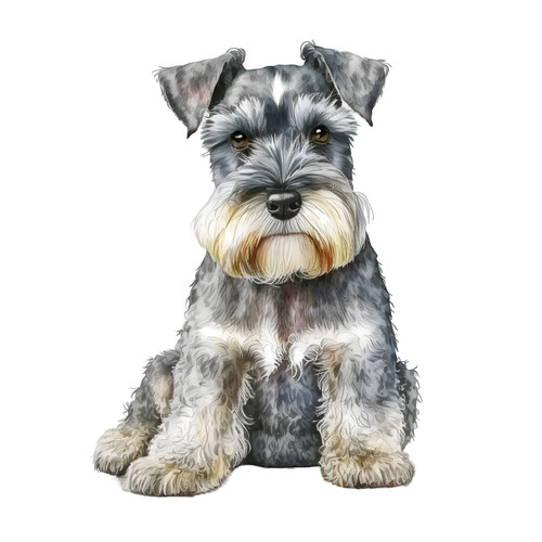 Adesivi auto schnauzer - 8, nano