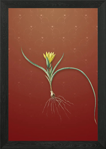 Quadro stampa tela poster - su,