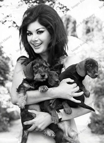 Stampa 8x10 edwige - 8x10, fenech