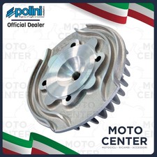 TESTA POLINI MODELLO EVOLUTION