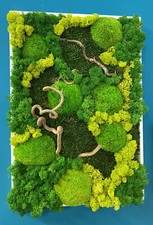 Quadro Vegetale, Fiori