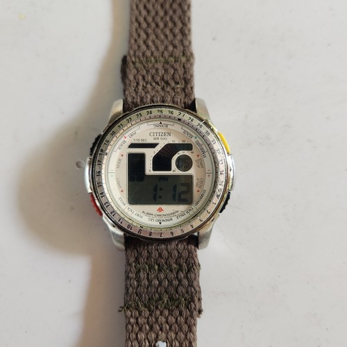Raro citizen promaster - citizen,