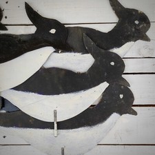 Richiami per uccelli pavoncelle caccia Vintage (9)