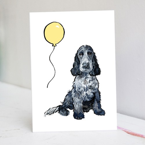 Blue roan cocker spaniel - roan,