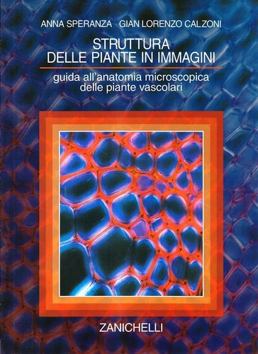 Struttura delle piante - delle, in