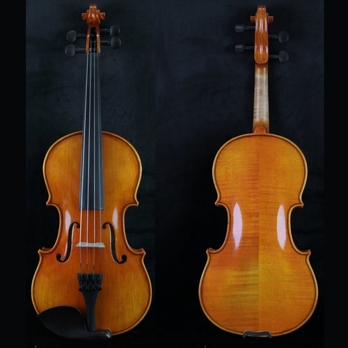 Violino livello professionale