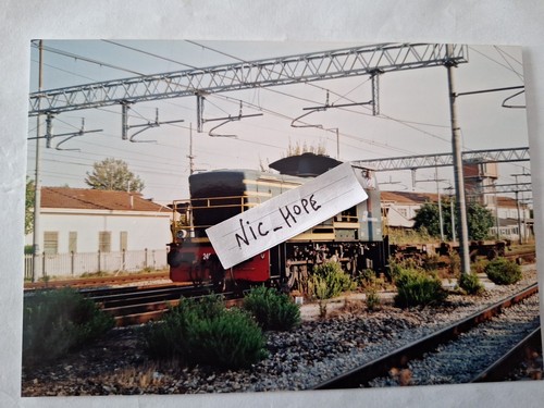 Fotografia stazione pisa - stazione,