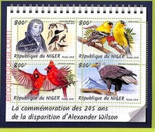 B0653 - NIGER - ERRORE ERRORE ERRORE ERRORE - 2018 - FAUNA Birds, Wilson