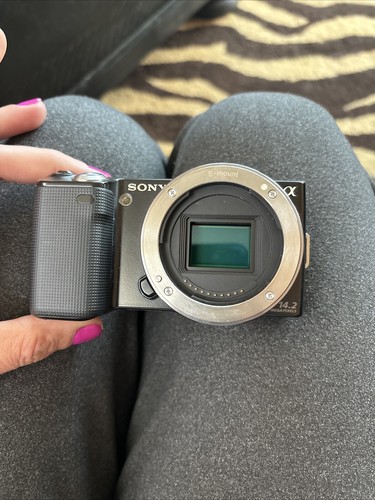 Sony nex5 camera - sony,