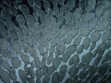 Stampa Animalier Blu Peluche