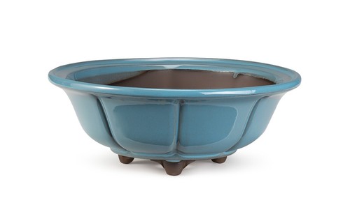 Certrè vaso per bonsai - per,